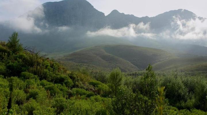 Golden Hill Guest House