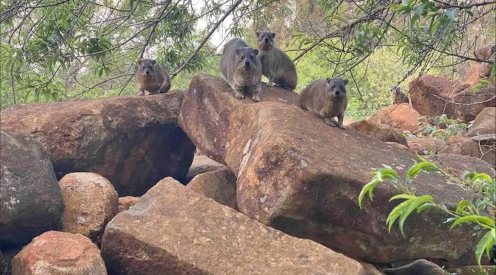 Critchley Stone Villa