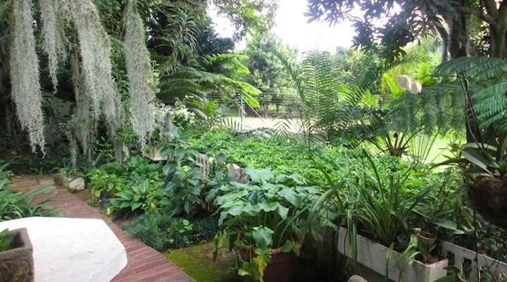 Almar View Guest House