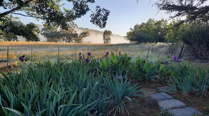 Pecan Grove Guesthouse