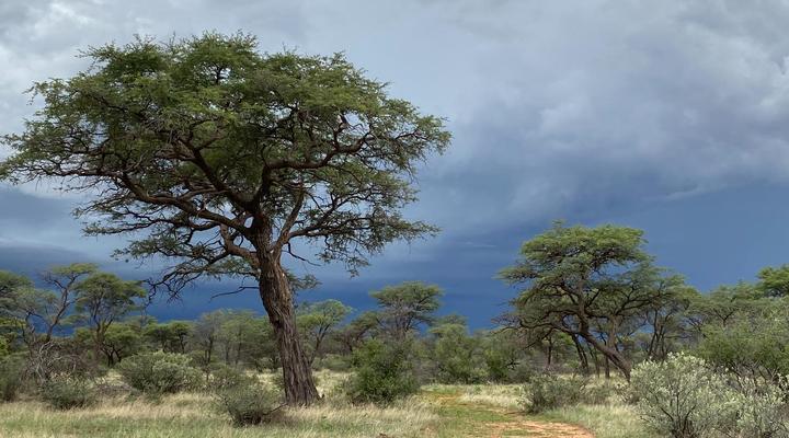 Kameeldoring Glamping Namibia