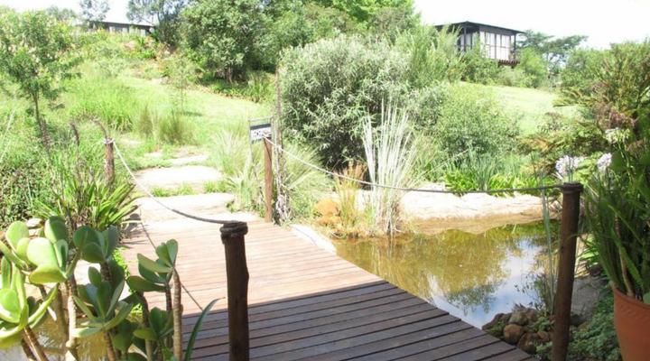 Midlands Forest Lodge