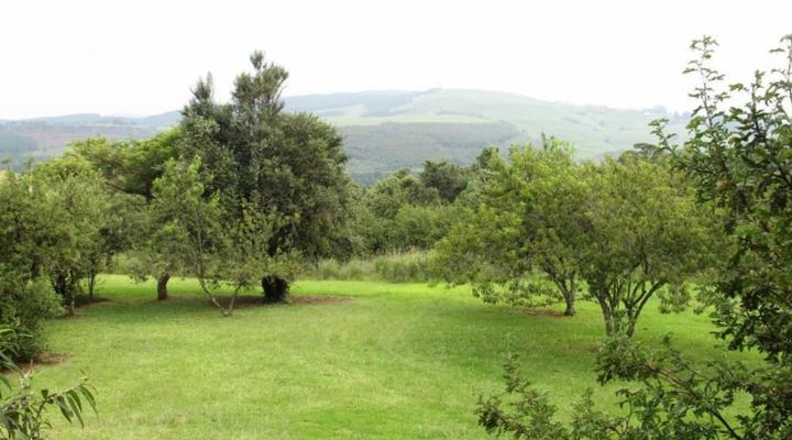 Midlands Forest Lodge