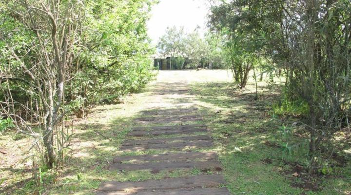 Midlands Forest Lodge