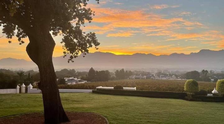 d'Olyfboom Guesthouse