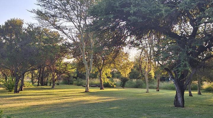 Thorn Tree Bush Camp - Tented camps and cabins