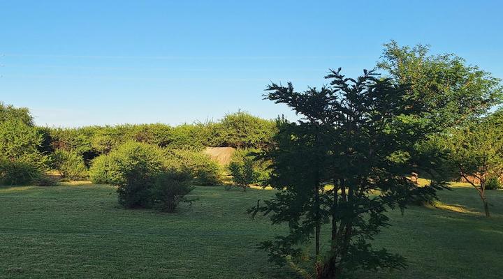 Thorn Tree Bush Camp - Tented camps and cabins