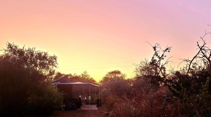 Thorn Tree Bush Camp - Tented camps and cabins