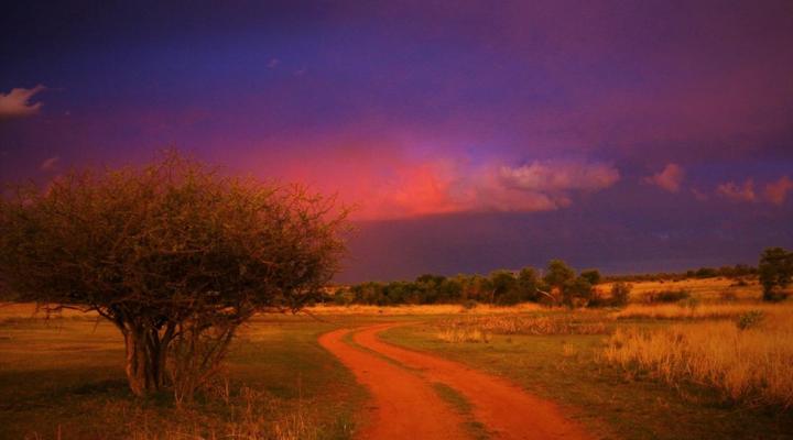 Thorn Tree Bush Camp - Tented camps and cabins