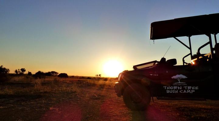 Thorn Tree Bush Camp - Tented camps and cabins