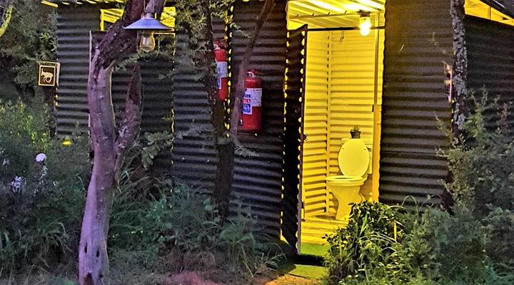 Thorn Tree Bush Camp - Tented camps and cabins