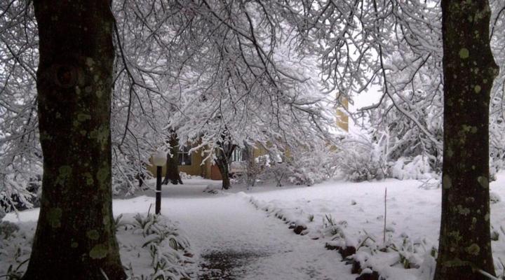 The Edge Mountain Retreat