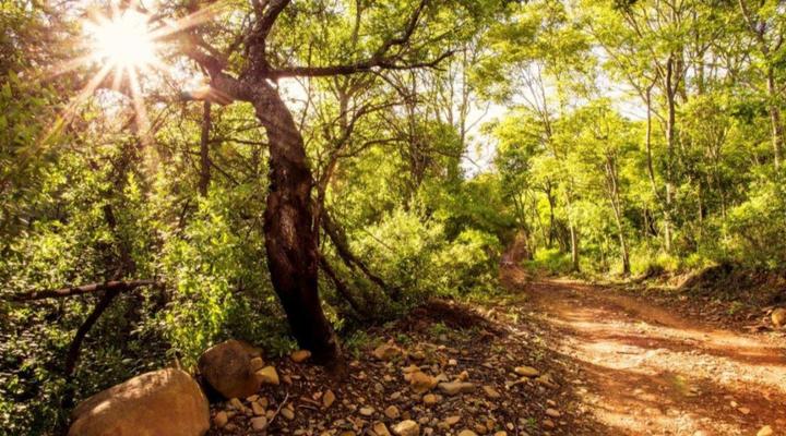 Rivendell Trout Estate