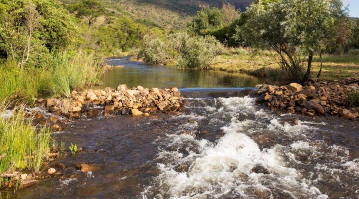 Rivendell Trout Estate