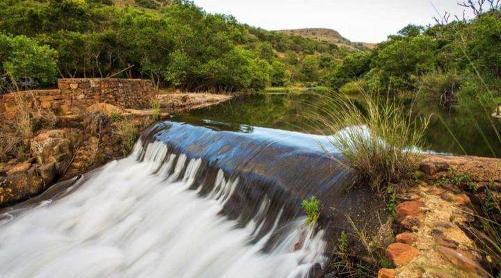 Rivendell Trout Estate