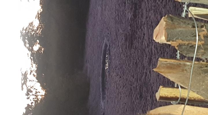 Paradise Camp Grootfontein