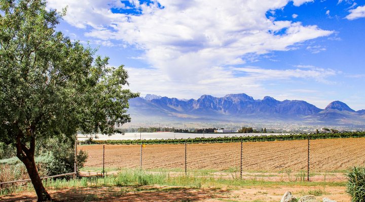 Nine Oaks Self-catering accommodation