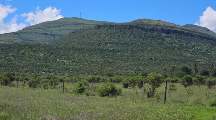 Amberdale Estate Self Catering