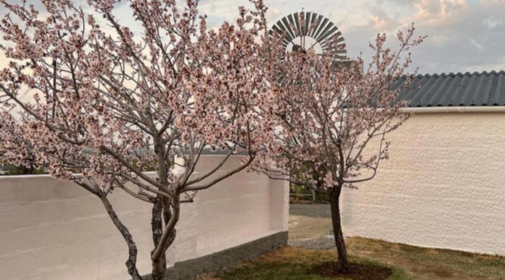 Rooikloof Guest Farm