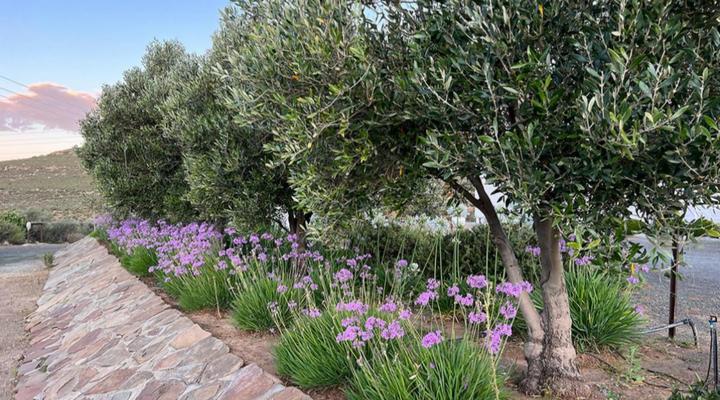 Rooikloof Guest Farm