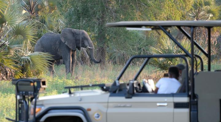 Gorongosa Wild Camp
