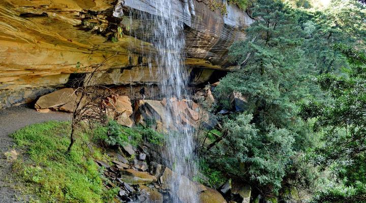 Montusi Mountain Lodge
