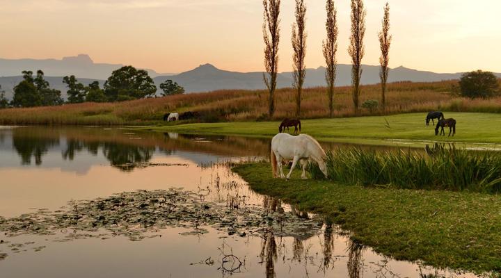 Montusi Mountain Lodge
