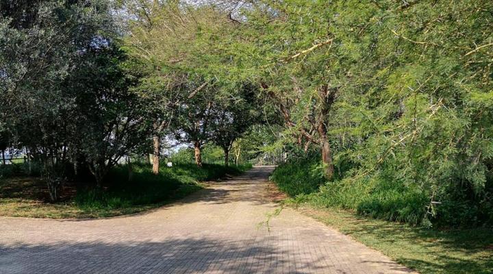 Shingalana White River