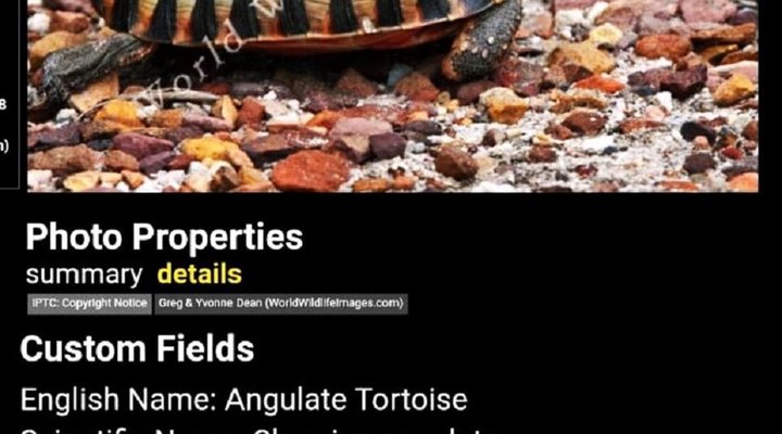 Goose Valley Golf Estate-Unit B5 