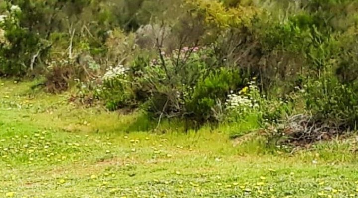 Goose Valley Golf Estate-Unit B5 