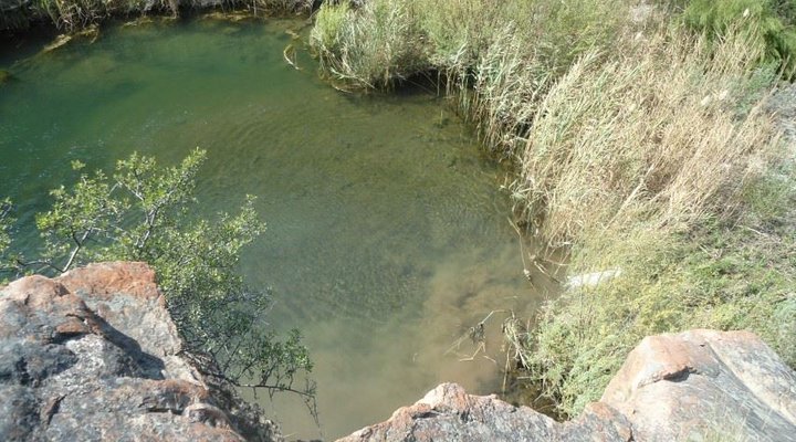 Kareekloof Conservancy - Waterfall Cottage