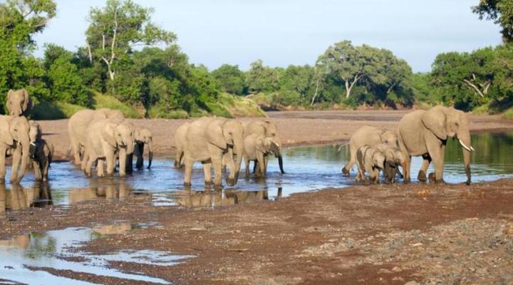 Shalimpo Exclusive Safari Home - Mashatu Game Reserve