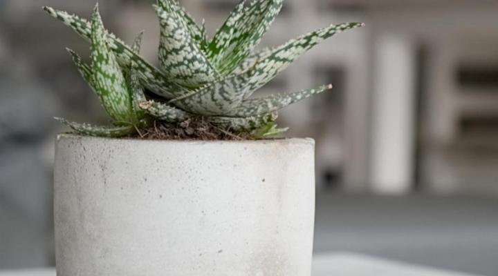 Bella Luna Bed and Breakfast CC