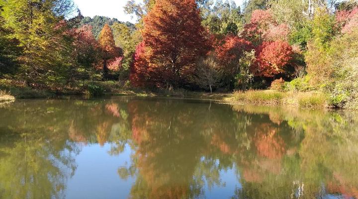 Cheerio Trout Fishing and Holiday Resort