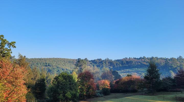 Cheerio Trout Fishing and Holiday Resort