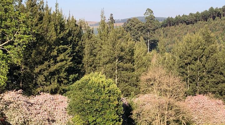 Cheerio Trout Fishing and Holiday Resort