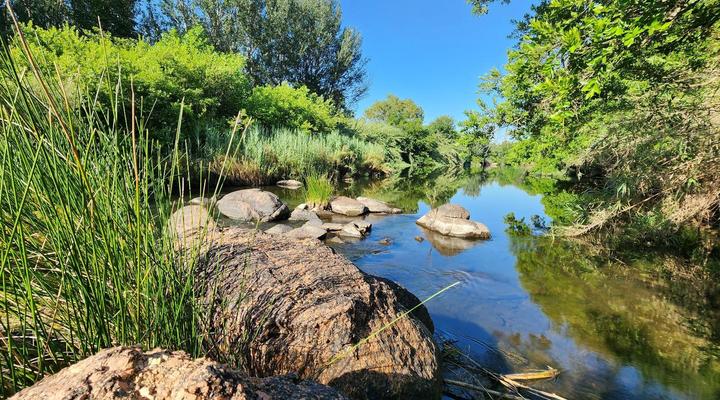 Wilge River Bush Camp