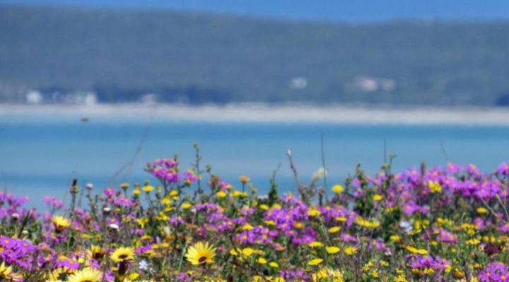 WeskusKuier Bergrivier