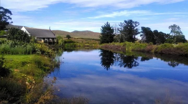 Mountain Pastures Lodge