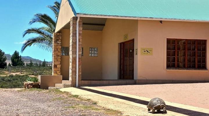 Mountain Pastures Lodge