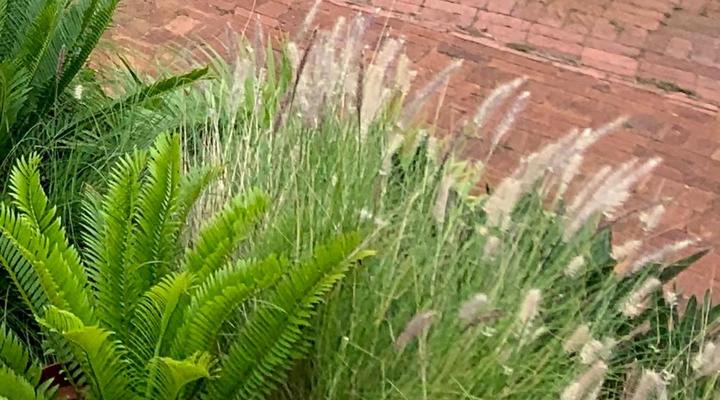 Kingston Place Guest House