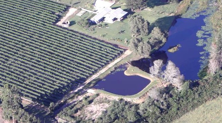 Luka Wine Estate
