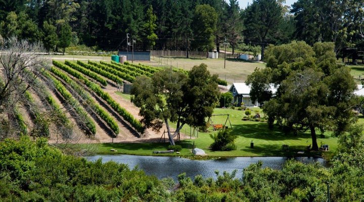 Luka Wine Estate