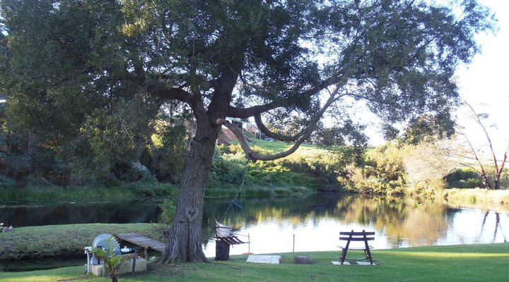 Luka Wine Estate