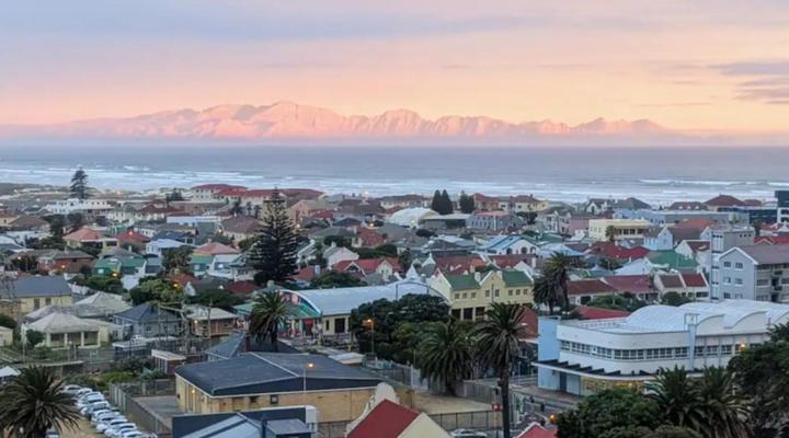Cape Weaver Muizenberg