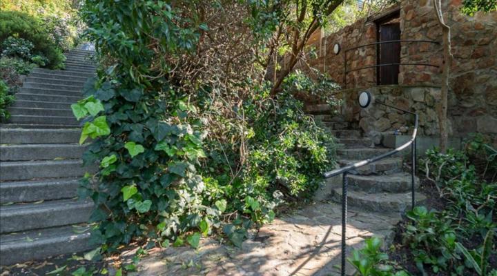 Cape Weaver Muizenberg