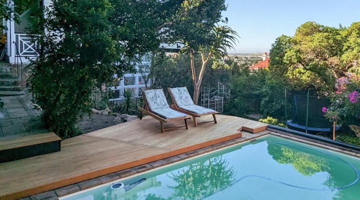 Cape Weaver Muizenberg