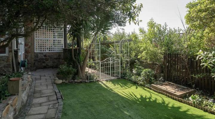 Cape Weaver Muizenberg