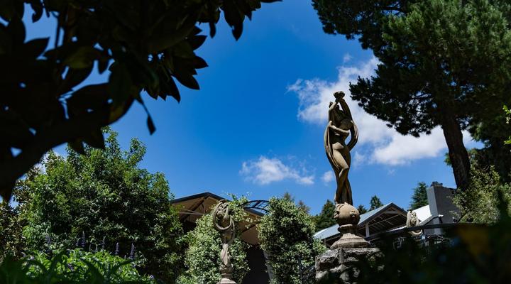 Lavender Hill Country Estate