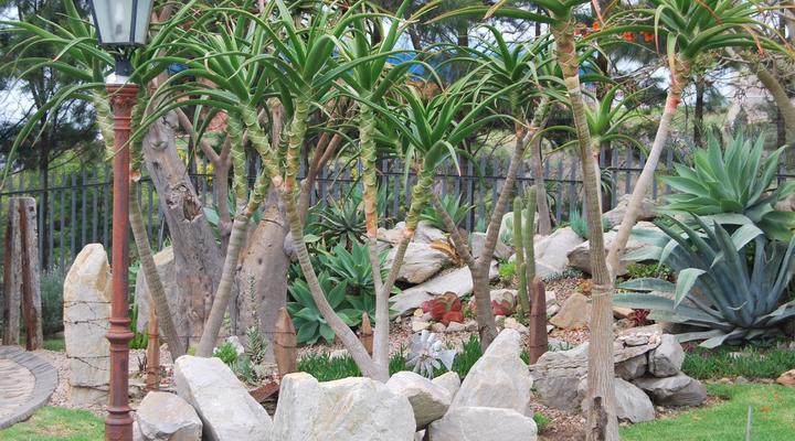 Aloe Ridge Self Catering